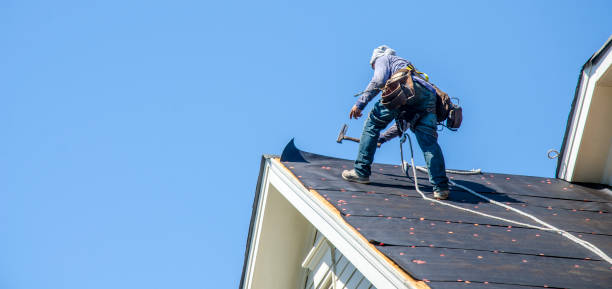 Best Roof Gutter Cleaning  in Cao, ND